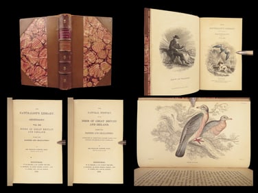 1842 BIRDS Jardine Naturalist Ornithology Pigeons Ptarmigans Lapwing Illustrated