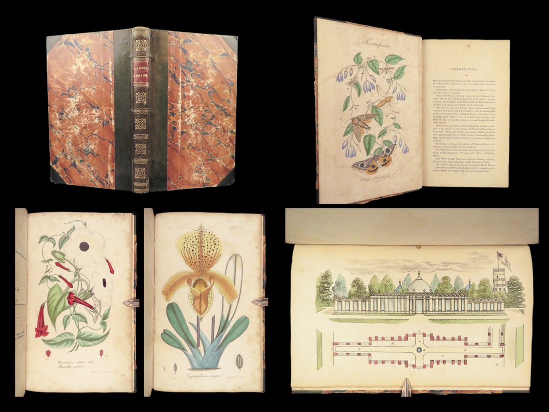 1839 FLOWERS 1ed Gardeners Library GARDENING Botanical ART Greenhouses HERBAL (1 of 10)