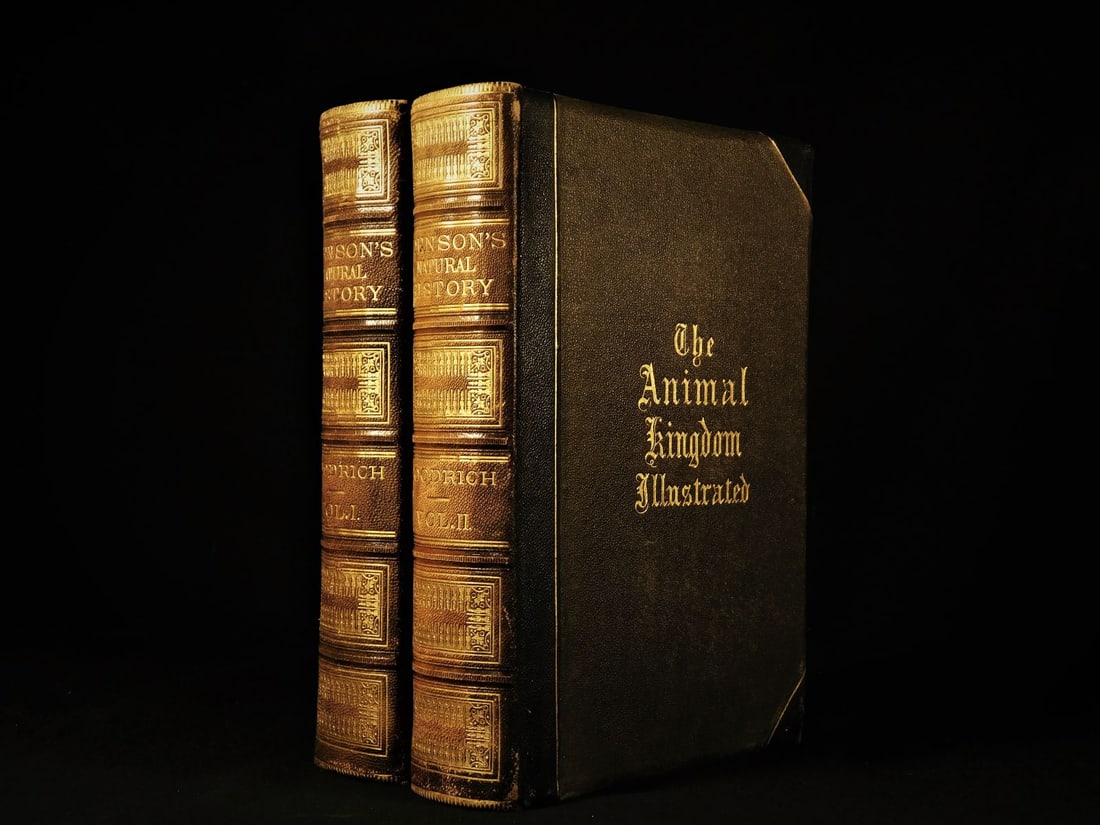 1872 EXQUISITE Goodrich Natural History Animal Darwin Huxley Wallace Illustrated (1 of 10)