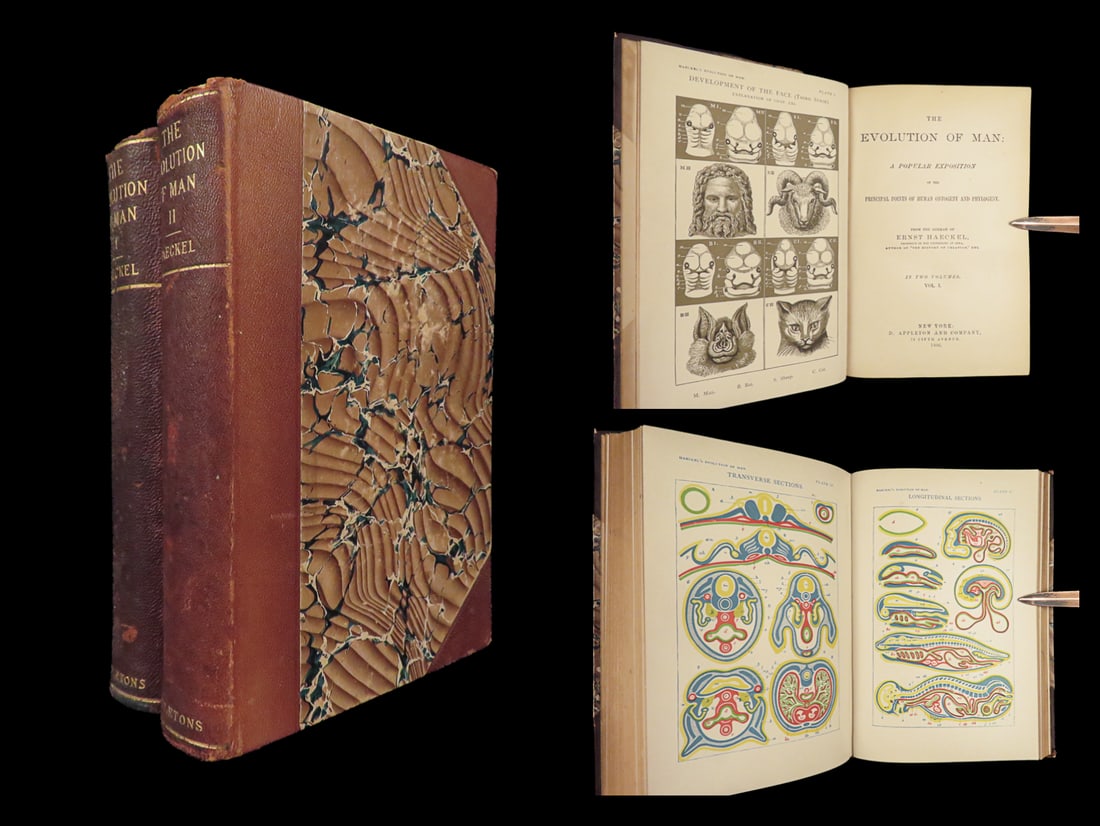 1896 EVOLUTION of Man Science Otogeny Ernst Haeckel DARWIN Illustrated 2v SET (1 of 10)