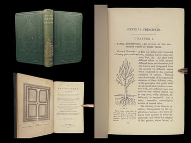 1852 Fruit Garden BOTANY Farming Agriculture Plants Illustrated Orchard Wines