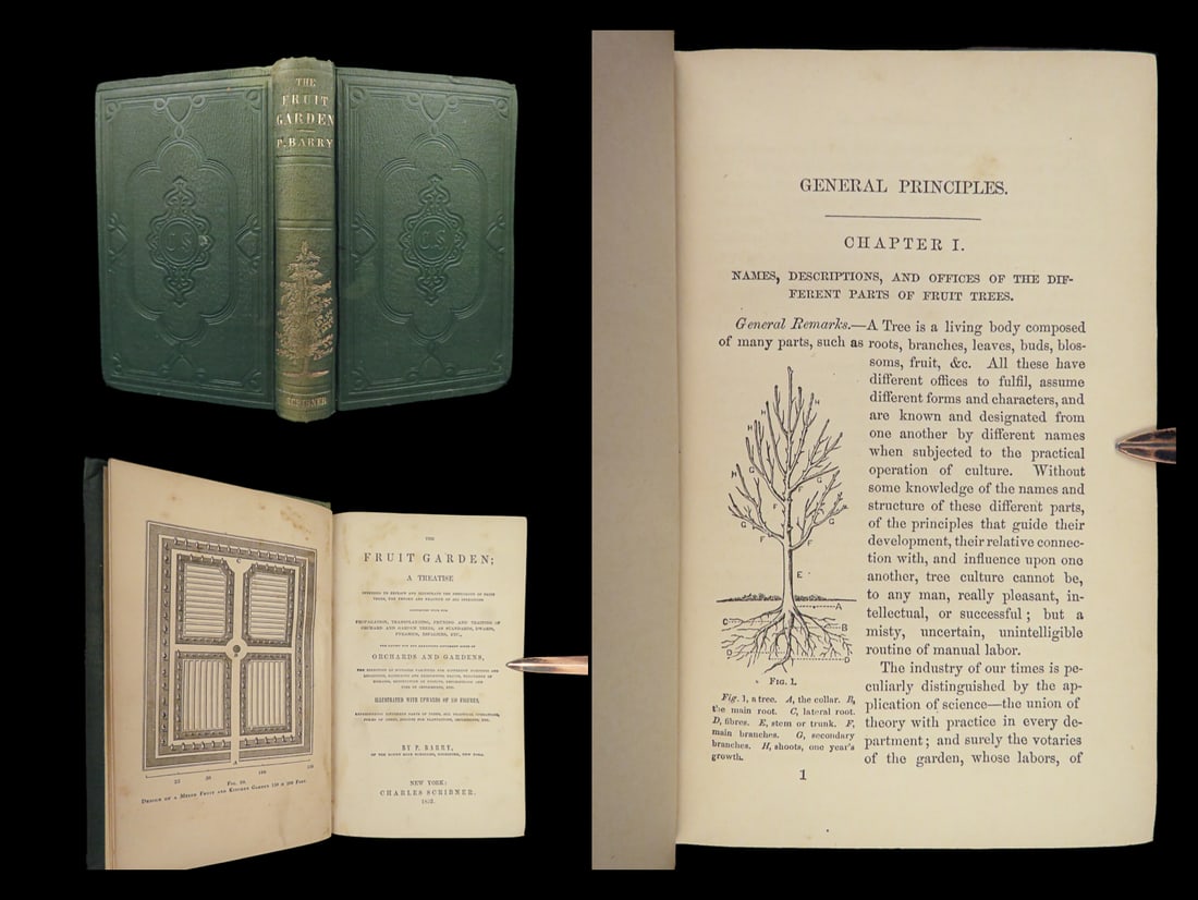 1852 Fruit Garden BOTANY Farming Agriculture Plants Illustrated Orchard Wines (1 of 10)