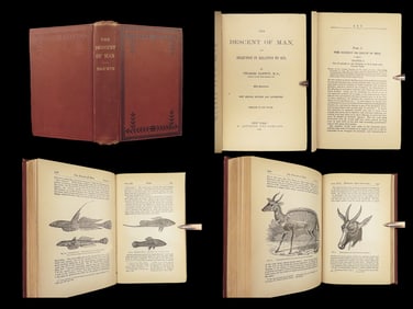 1892 Charles Darwin Descent of Man Evolution Sexuality APES Monkeys Science