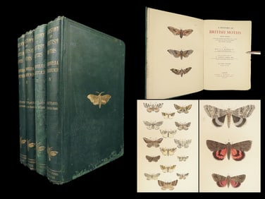 1903 British Moths Science Darwin Evolution 132 Illustrated Color Plates Insects