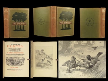 1901 Lives of Hunted 1st ed Illustrated BIRDS & Animals Hunting Yellowstone Seton
