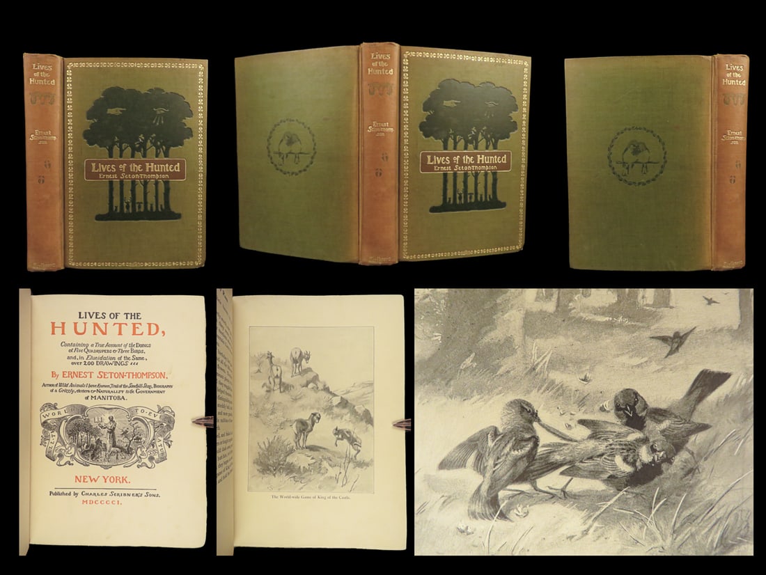 1901 Lives of Hunted 1st ed Illustrated BIRDS & Animals Hunting Yellowstone Seton: 1901 Lives of Hunted 1st ed Illustrated BIRDS & Animals Hunting Yellowstone Seton Ernest Thompson Seton was a prominent wildlife author who founded the Woodcraft Indians and was one of the founding pi