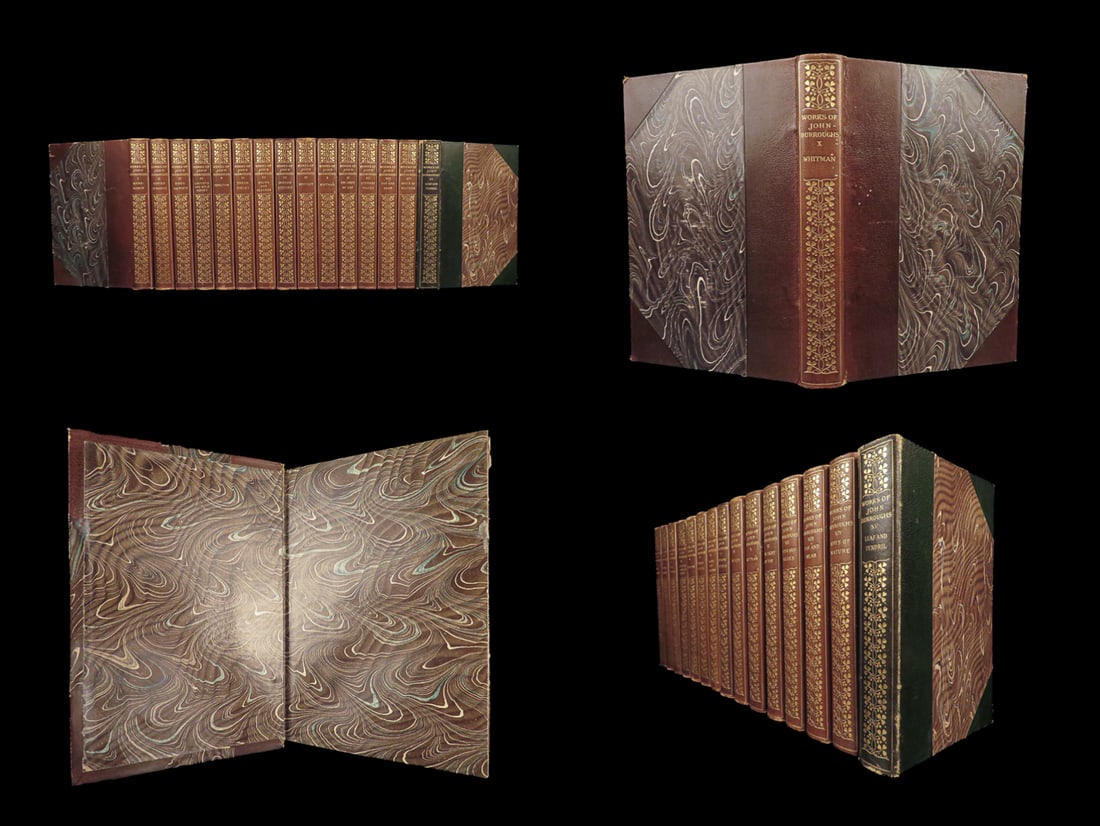 1904 STUNNING 15v SET John Burroughs Science Naturalism Birds Flowers Bees (1 of 10)