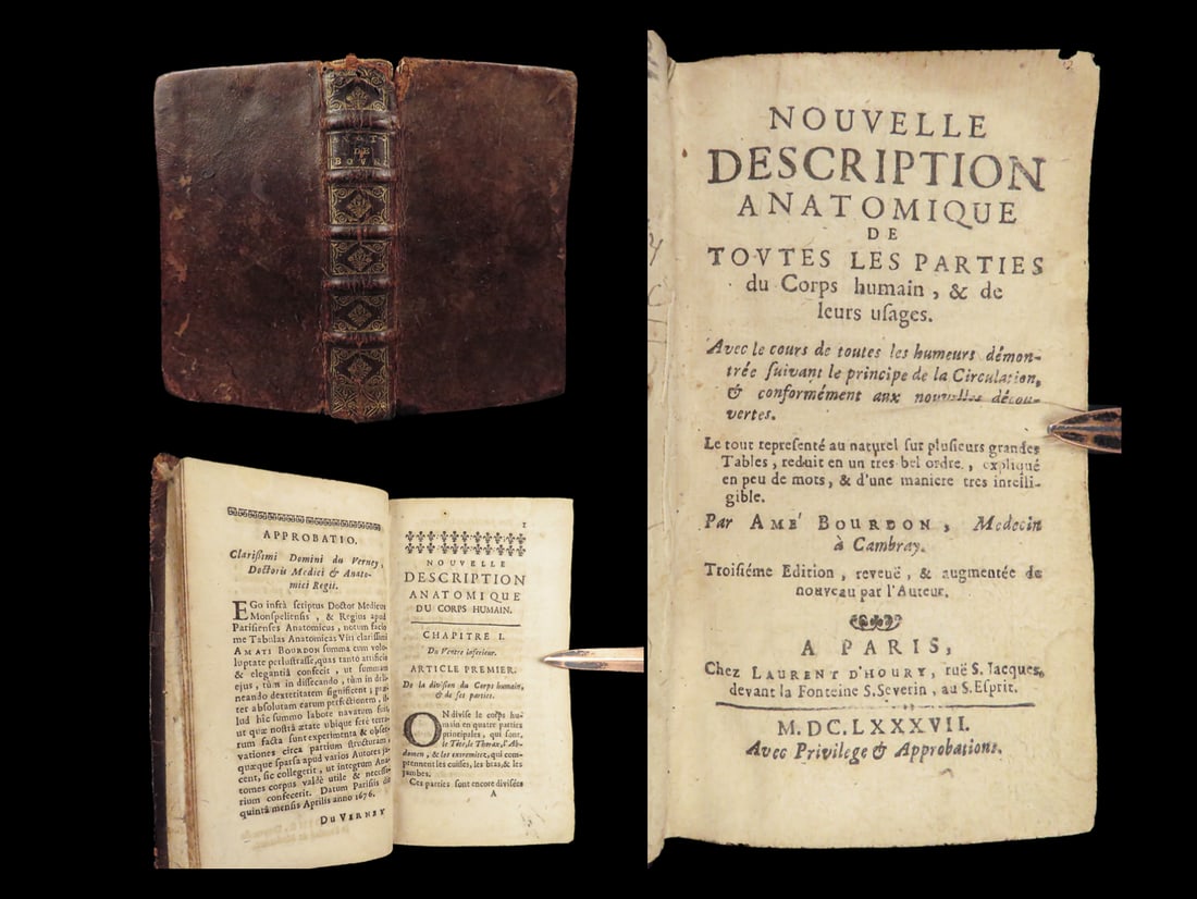 1687 Bourdon Anatomy Cardiology Circulation Bones Medicine Muscles Harvey (1 of 10)