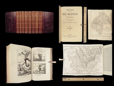 1835 Buffon Natural History Zoology Ornithology Illustrated Volcanos BIRDS 8v