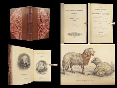 1836 Natural History Mammals Africa Buffalo Oxen Sheep Jardine FINE BINDING Art