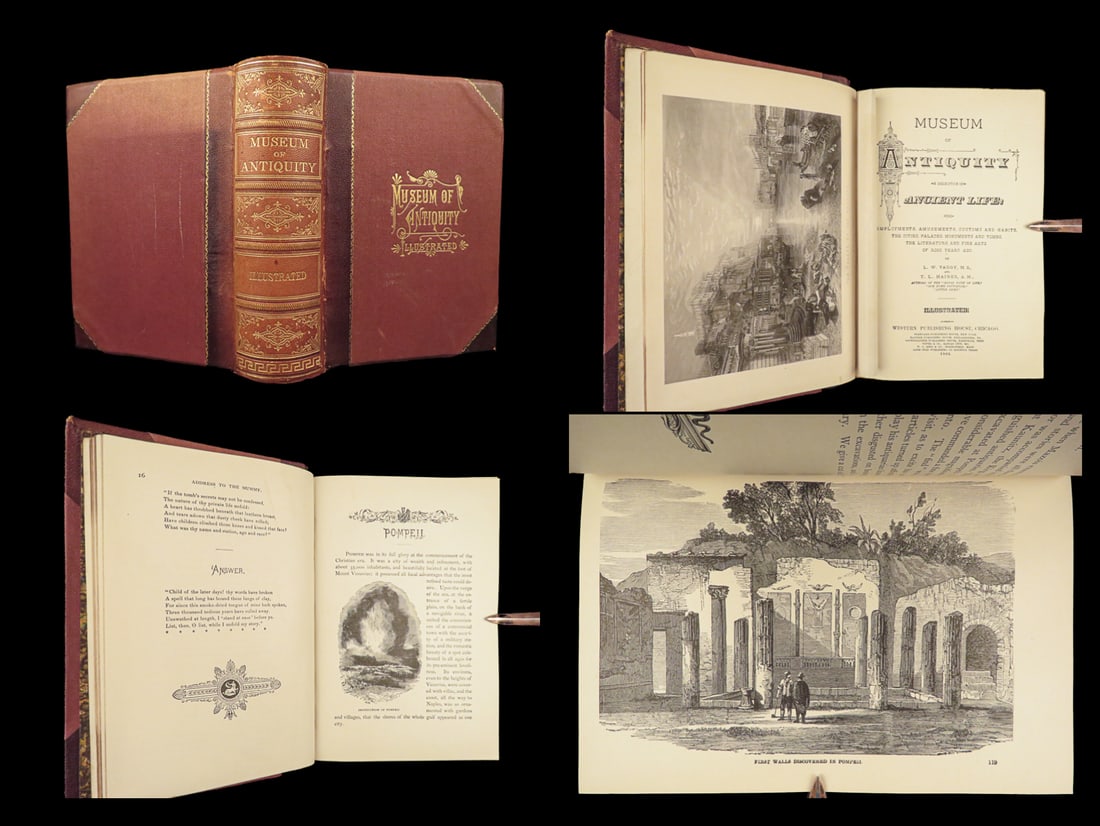 1883 Museum of Antiquity EGYPT Pagan Occult Rituals Illustrated Babylon Leather: 1883 Museum of Antiquity EGYPT Pagan Occult Rituals Illustrated Babylon Leather A description of ancient life including the employments, amusements, customs and habits, the cities, palaces, monuments 