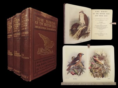 1923 Birds of British Isles Illustrated Ornithology Songbirds Eggs Coward 3v SET