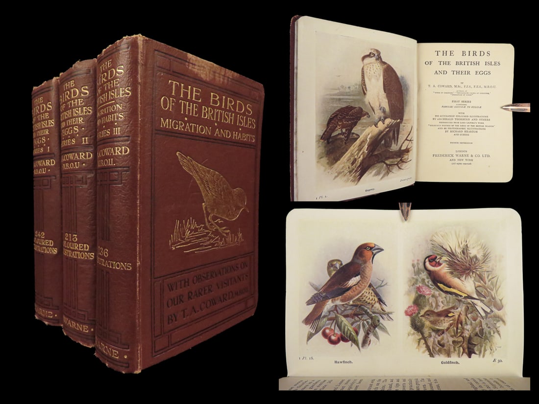 1923 Birds of British Isles Illustrated Ornithology Songbirds Eggs Coward 3v SET: 1923 Birds of British Isles Illustrated Ornithology Songbirds Eggs Coward 3v SET A rare 20th-century bird guide published by T.A. Coward. “The Birds of the British Isles and their Eggs” is a f