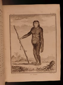 1766 MONKEY Buffon Natural History ANIMALS Illustrated Primate Evolution Zoology