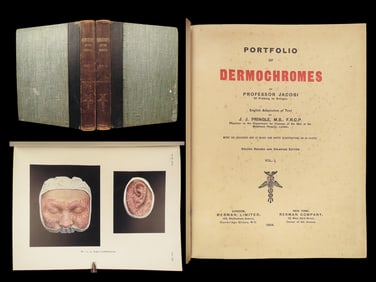 1904 DERMATOLOGY Skin Disorders Herpes Smallpox | Dermochromes by Edward Jacobi