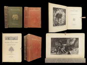 1894 The Jungle Books 1st/1st by Rudyard Kipling Children INDIA Mowgli 2v