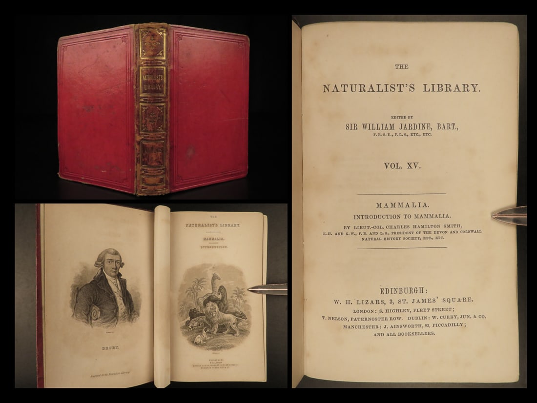 1842 Naturalists Library Mammalia Jardine Animal Science Mammals Bear Lions ART (1 of 20)