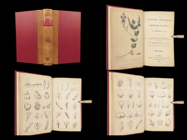 A Systematic Arrangement of British Plants – Withering, 1835 Edition | MacGillivray