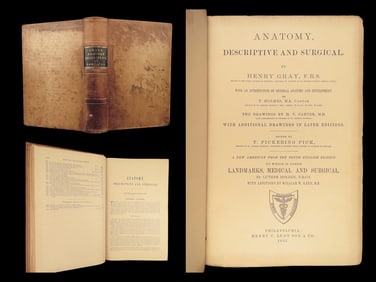 Anatomy, Descriptive and Surgical – Henry Gray, 1883 American Edition