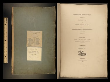 1806 1ed George Don British Plants DRIED LEAVES Botany Herbarium Britannicum