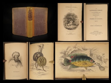 1843 FISH 1ed Jardine FISHING Piranha Salmon Dorsa Ichthyology Africa Guiana ART