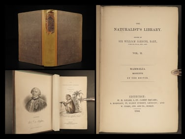 1844 MONKEYS Jardine Illustrated Primate Mandrill Baboon Color Evolution Macaque