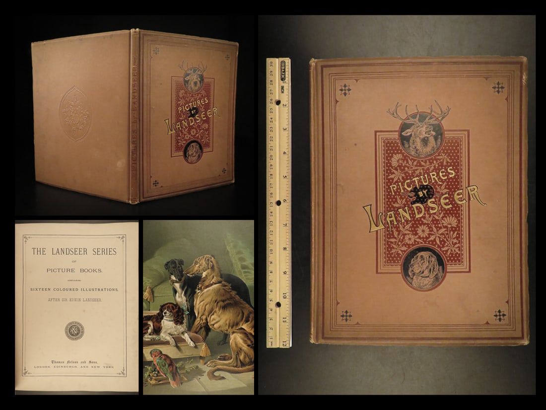 1880 DOGS 1ed Sir Edwin Landseer ART Painting Horses Animals Bunnies Deer Folio (1 of 20)