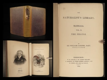 1844 CATS Lions Jaguars Tigers Bobcats Illustrated Jardine Naturalist Mammalia