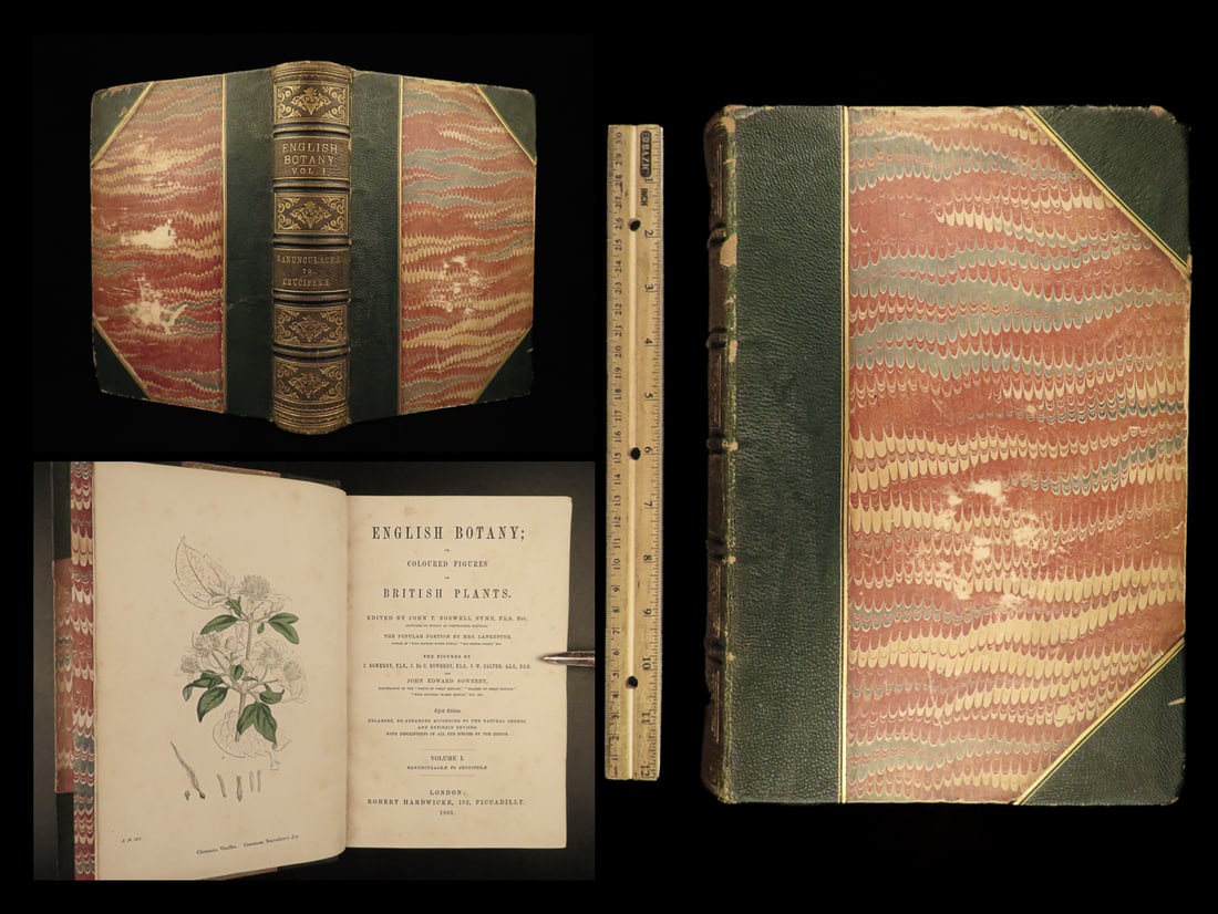 1863 English Botany British Plants Sowerby Botanical ART Cruciferae Flowers (1 of 20)