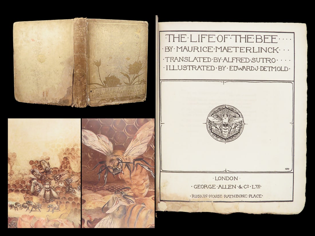 The Life of the Bee – Maurice Maeterlinck, 1911 First Illustrated Edition (1 of 10)