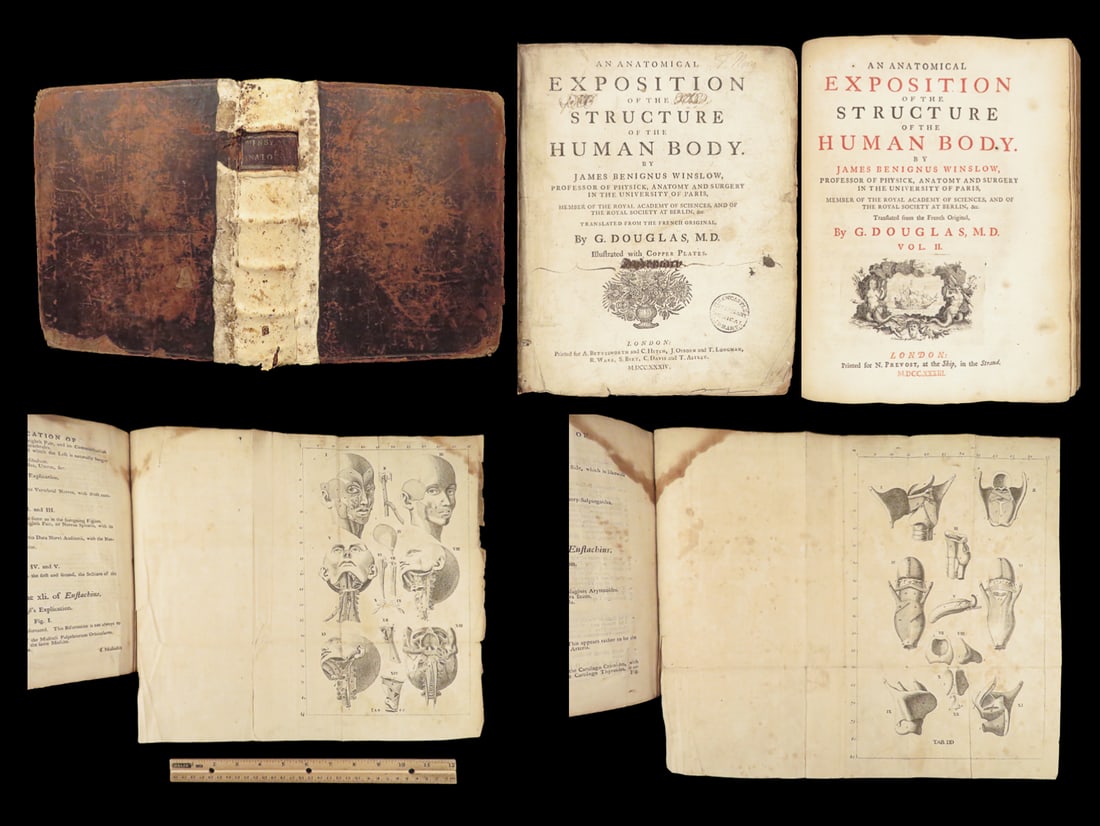 Anatomical Exposition – Jacob B. Winsløw – 1734 | Human Anatomy, Plates (1 of 10)