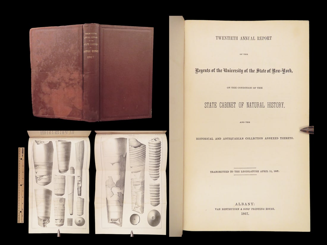 Natural History Annual Report – State of New York – 1867 | First Edition, Plates: The Annual Report of the Regents of the University of the State of New York was a recurring report concerning the state of natural history in New York. This 20th annual report, published n 1867, focus