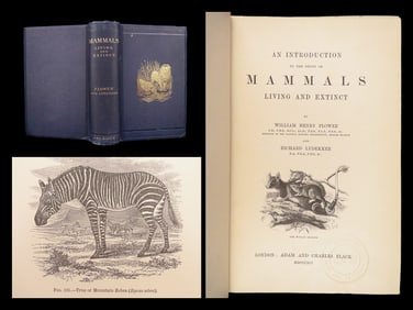 Introduction to Study of Mammals | Flower & Lydekker, 1891 – Illustrated Monkeys