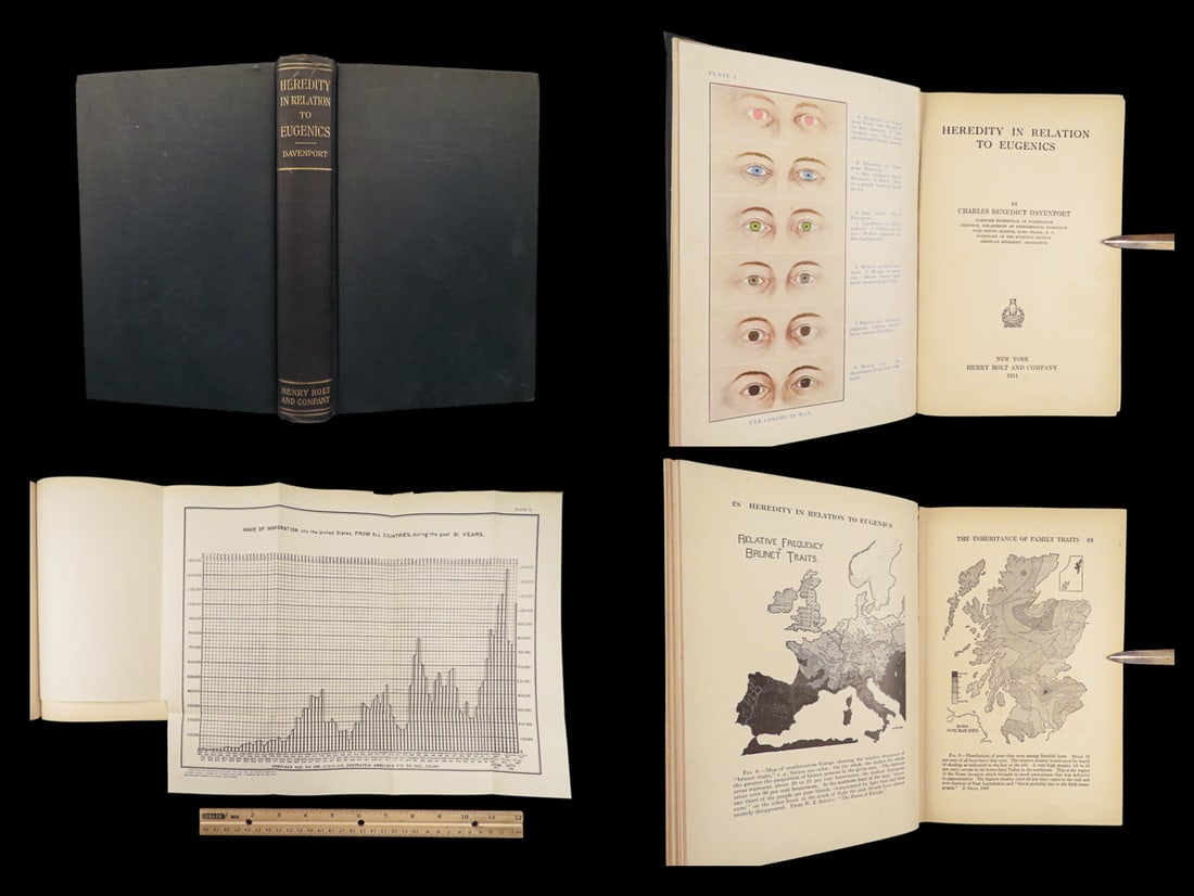 Heredity in Relation to Eugenics | Davenport, 1911, Pseudoscience & Morality: Heredity in Relation to Eugenics by Charles Benedict Davenport was published in 1911. Davenport, a prominent figure of early 20th-century biology, published this first edition to argue heredity as a d