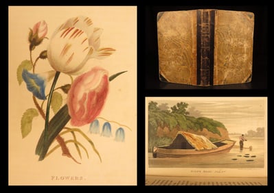 1829 – Young Artist’s Assistant | Drawing Guide, Illustrated Color Plates