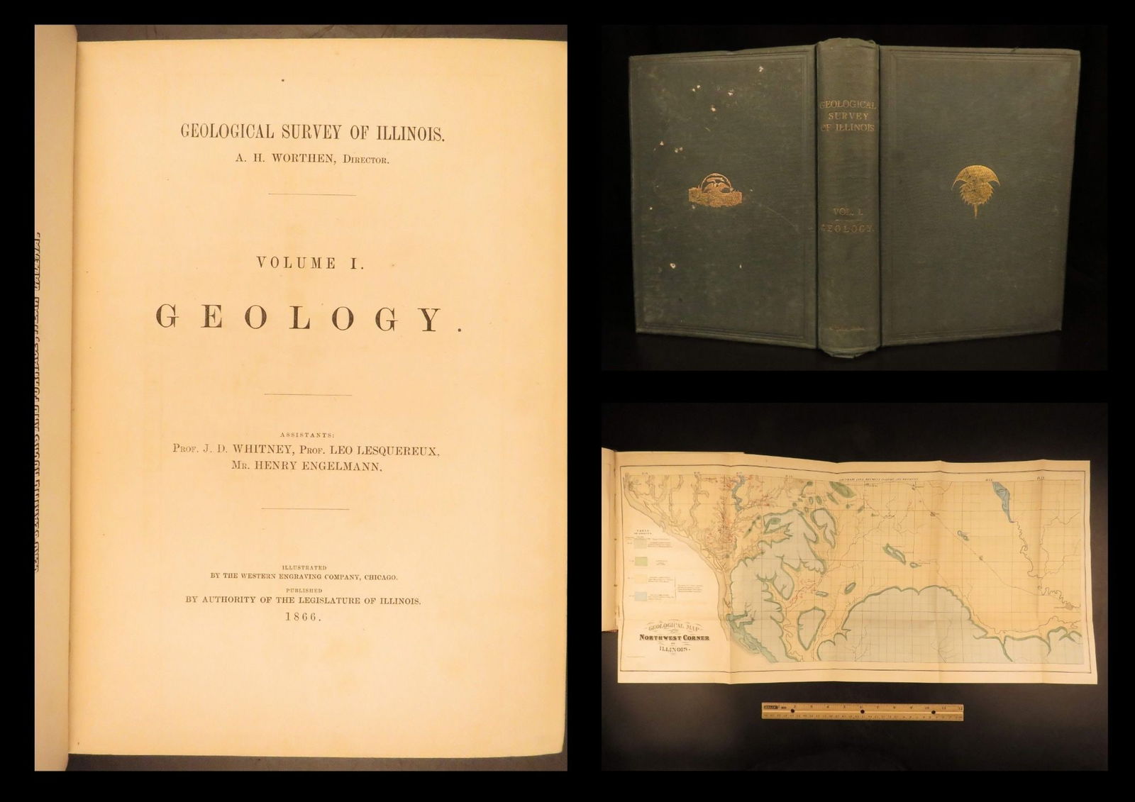 1866 – Geology of Illinois | First Ed County Geological Reports, Folding Maps (1 of 10)