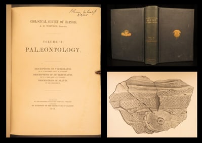 1866 – Geology of Illinois | First Ed, Paleontology Reports, 50 Fossil Plates!