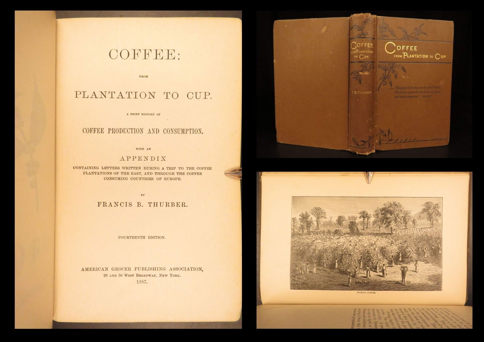 Coffee: From Plantation to Cup – Thurber, 1887 | Illustrated Trade History (1 of 10)