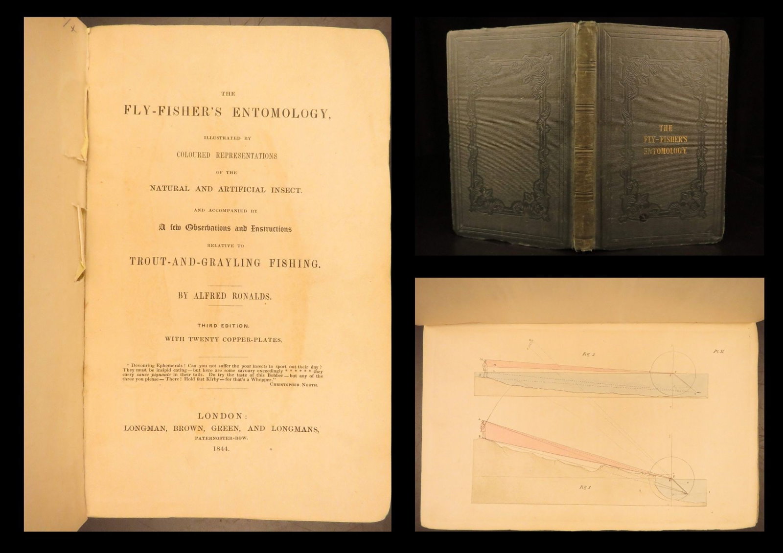 1844 – Fly-Fisher’s Entomology, Rolands | Illustrated Trout Fishing & Angling (1 of 10)