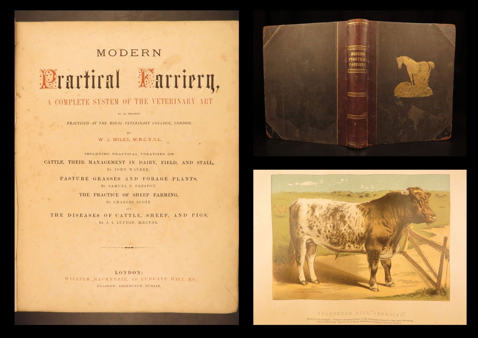 1874 – Modern Practical Farriery | Illustrated Horses & Veterinary Medicine (1 of 10)