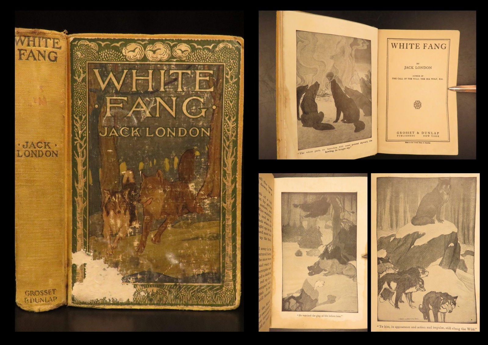 White Fang – London, 1906 Dunlap Edition | Illustrated: White Fang is an early 20th-century American novel by Jack London. This adventure story tells the tale of a sled dog and his pack through the Yukon Territory during the 1890s Gold Rush. It was an extr