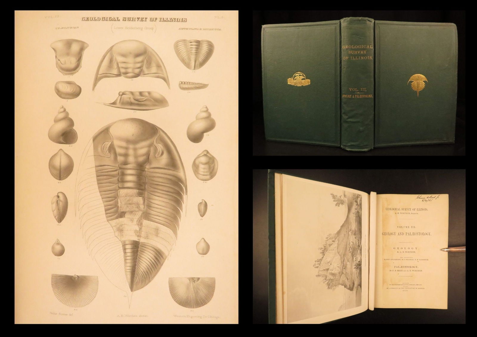 1868 – Geology of Illinois | First Ed Geological & Paleontology, 20+ Plates!: A rare first edition volume from the Geological Survey of Illinois. This work was a reputable, government-issued work filled with county reports on recent discoveries, findings, and statistics relatin