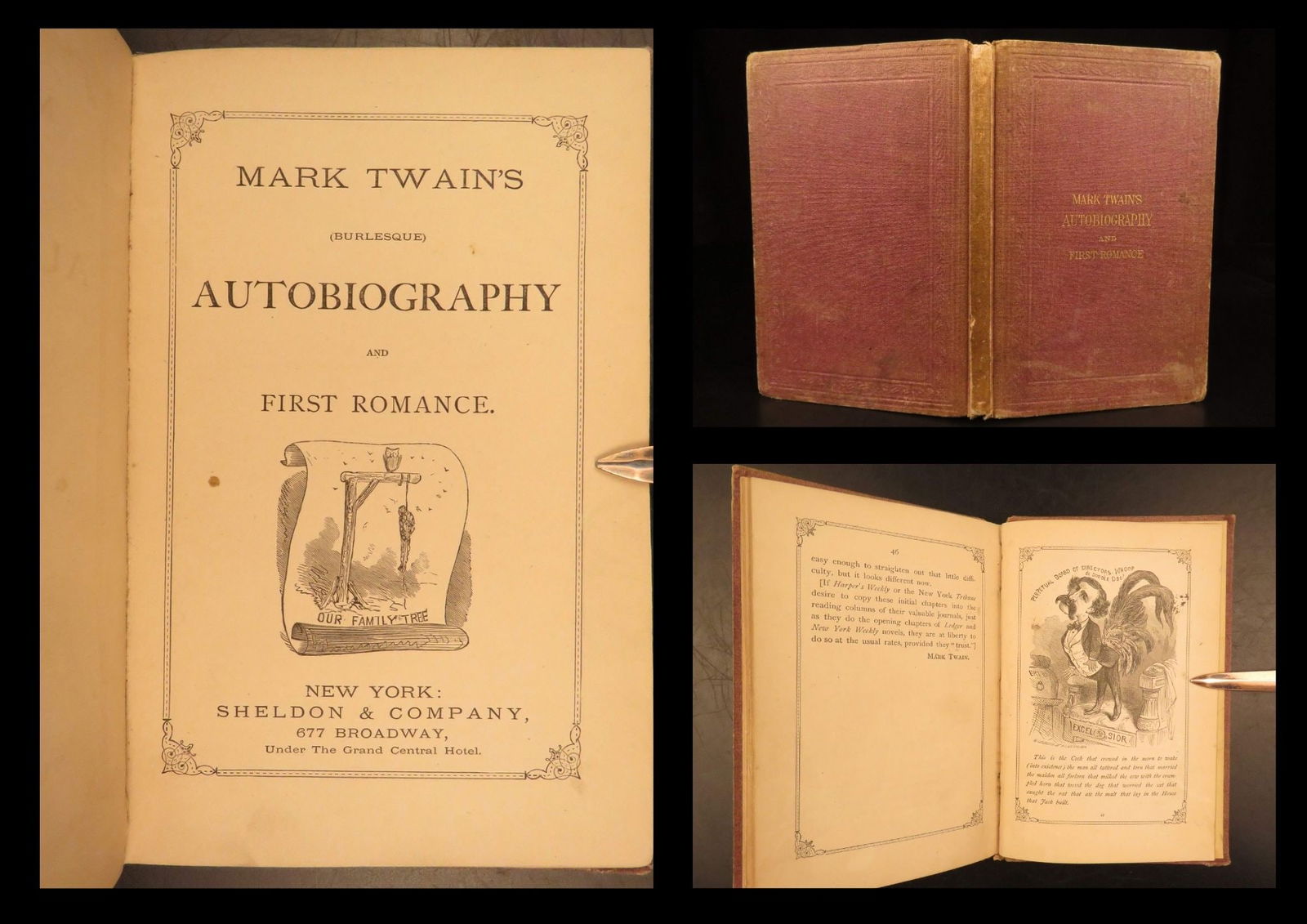 1871 – Mark Twain Burlesque Autobiography & First Romance | Illustrated First Ed (1 of 10)