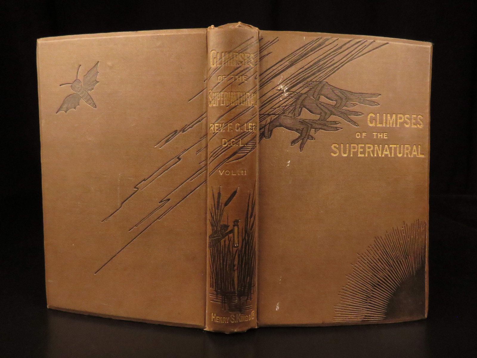 1875 – Glimpses of Supernatural | Witchcraft, Exorcisms, Dreams, Ghosts! - 2