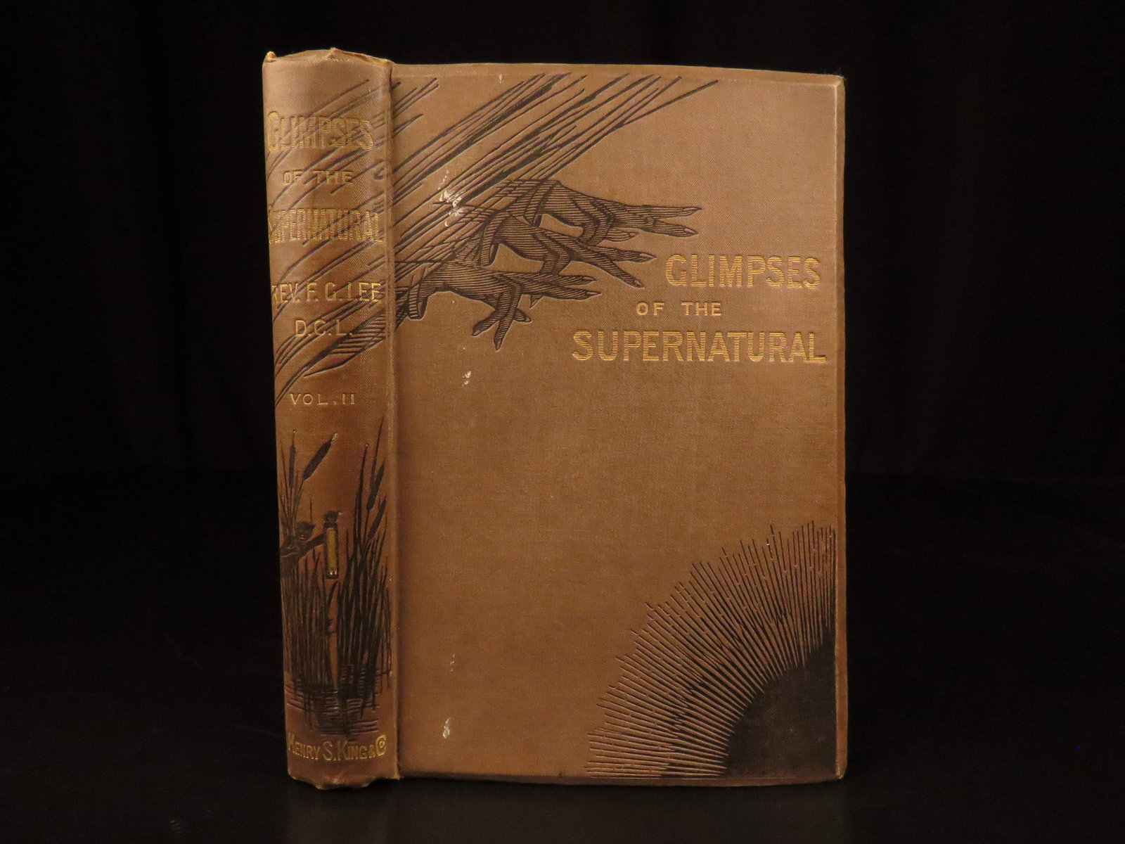 1875 – Glimpses of Supernatural | Witchcraft, Exorcisms, Dreams, Ghosts! - 3