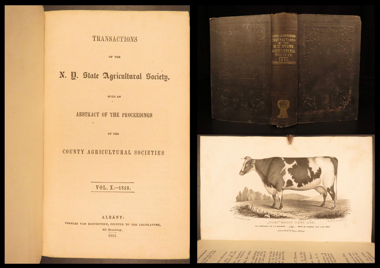 1851 – New York Counties Agriculture | Farming & Livestock Breeding (1 of 10)