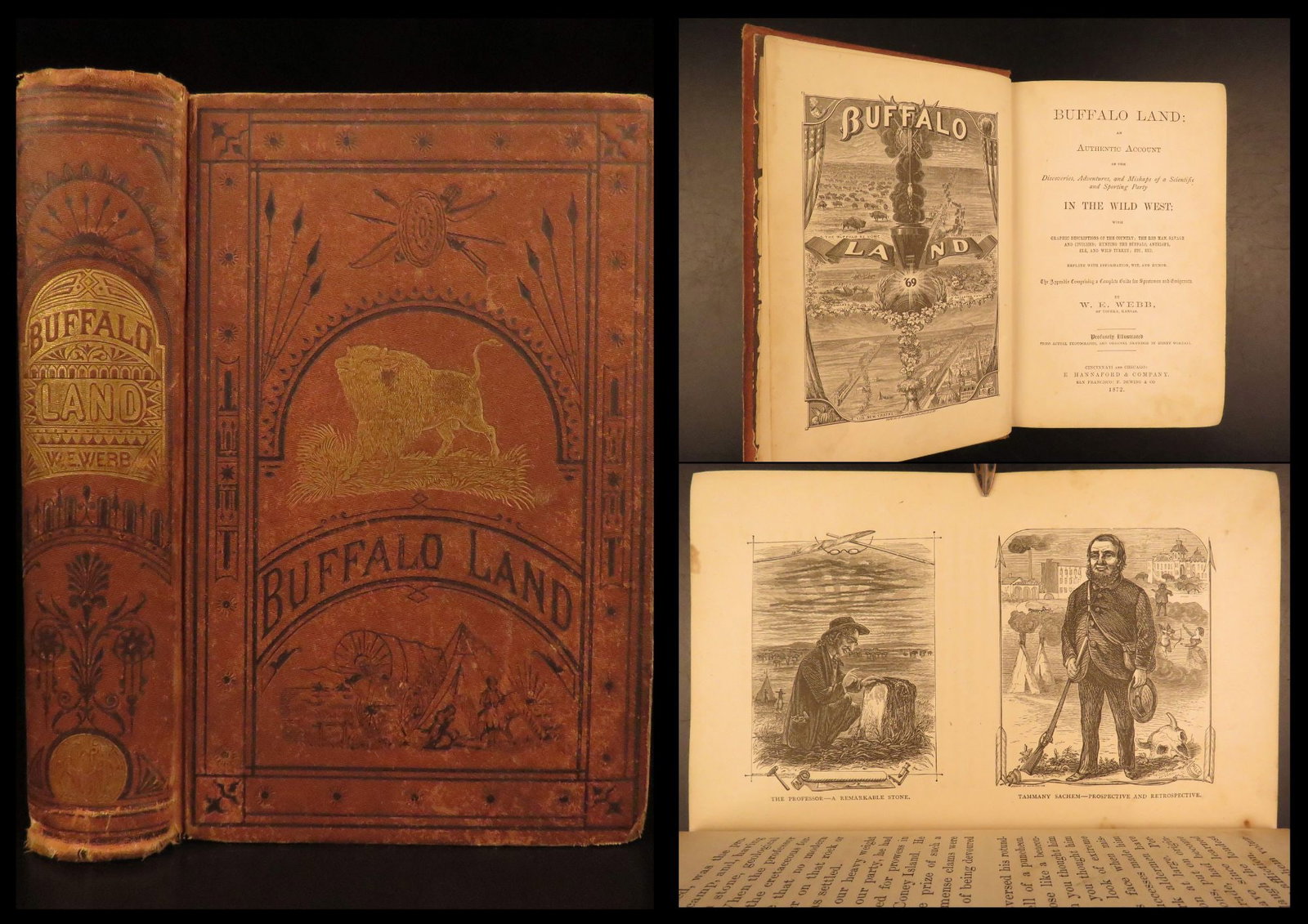 1872 – Buffalo Land – Webb | First Ed – Illustrated Western Americana, Indians (1 of 10)