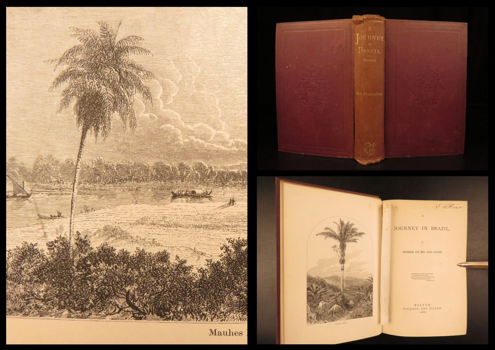 1868 – Journey in Brazil – Agassiz | South America, Amazon Travel – Illustrated: A Journey In Brazil by Louis Agassiz is a major 19th-century travel narrative of Agassizs expedition through Brazil and the Amazon River. Published in 1868, this book records observations of Brazilian