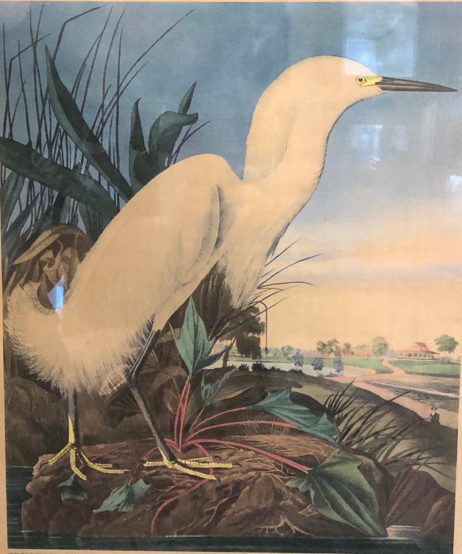 1930's JJ Audubon Snowy Heron Print: Description: Vintage, limited edition print of JJ Audubon's Snowy heron. Published in the 1930's by the American Print Craft Guild. Framed and mounted under glass. Material: paper; wood; glass. Measur