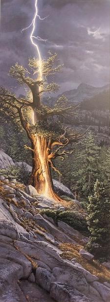 "Thunderbolt" Stephen Lyman Signed, Limited Edition (1 of 5)